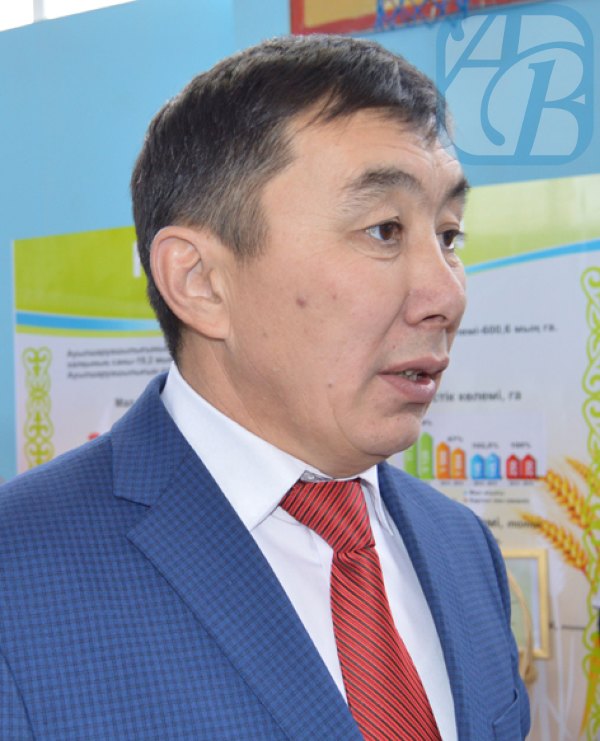 Жанболат Нурпеисов, руководитель Хобдинского районного отдела сельского хозяйства и ветеринарии