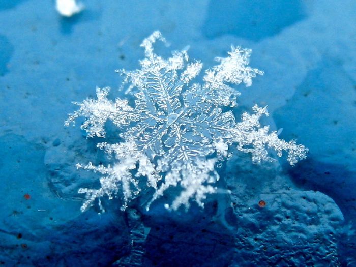 beautiful_snowflakes_33