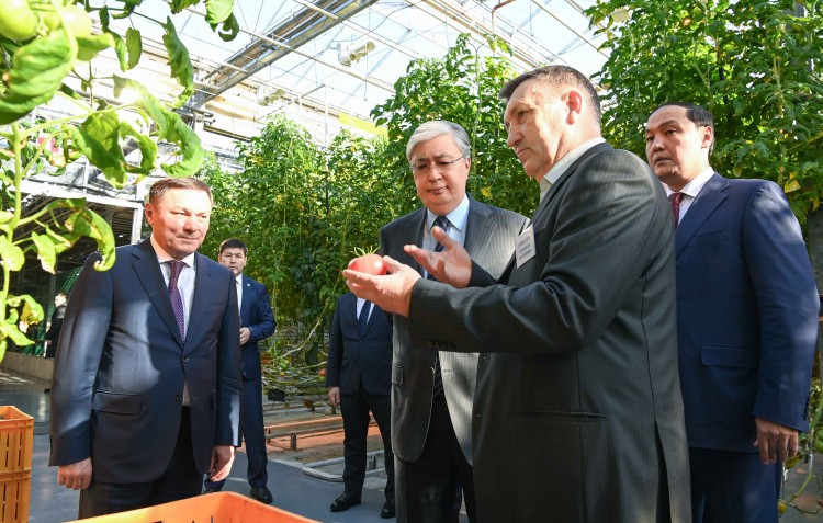 Президент ознакомился с развитием отечественных тепличных технологий в Степногорске