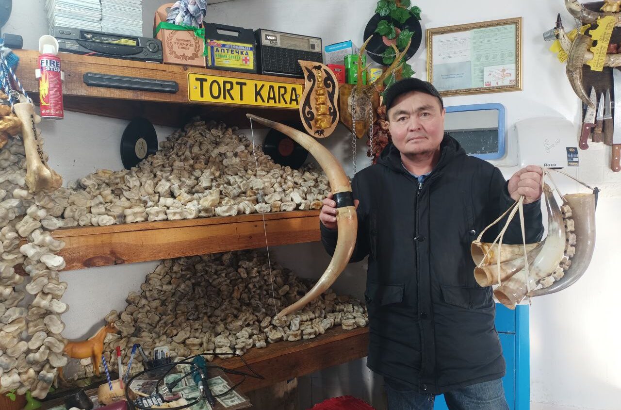 Там их много