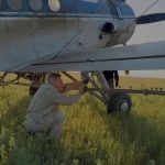 В Алгинском районе активно ведется борьба с саранчой