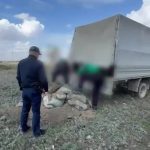 Нарушителя выявили по соцсети