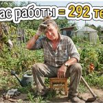 Выгодно ли иметь дачу?