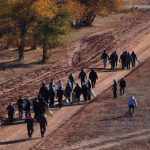 ☘️ В рамках акции «Таза Қазақстан» организован субботник