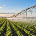 📌 В Актюбинской области площадь применения водосберегающих технологий в сельском хозяйстве достигла 12,3 тыс. гектаров