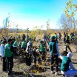 🌳 В экопарке Актобе в рамках акции «Таза Қазақстан» школьники высадили 100 берез